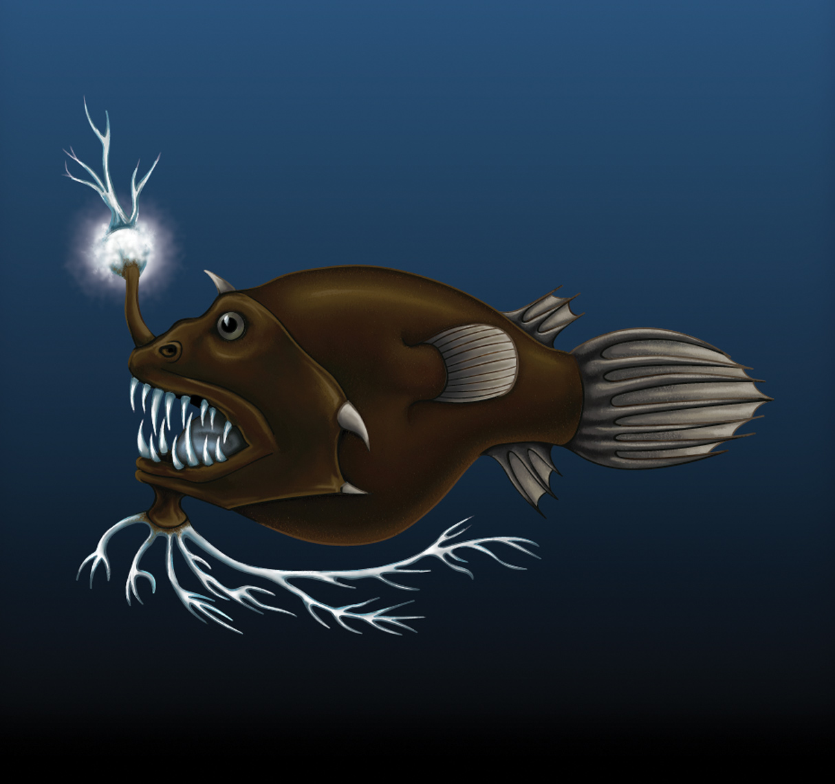 Deep ocean fish